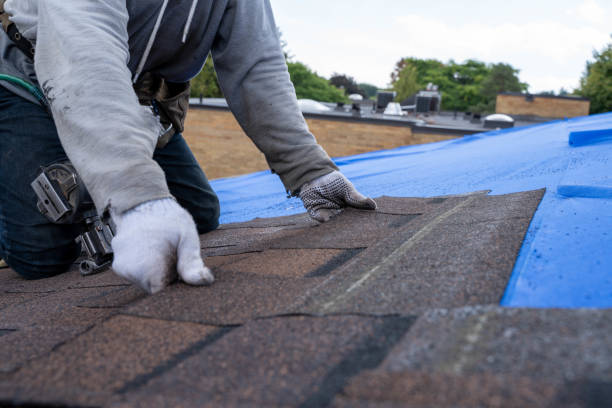 Best Residential Roofing Contractor  in Dunellen, NJ