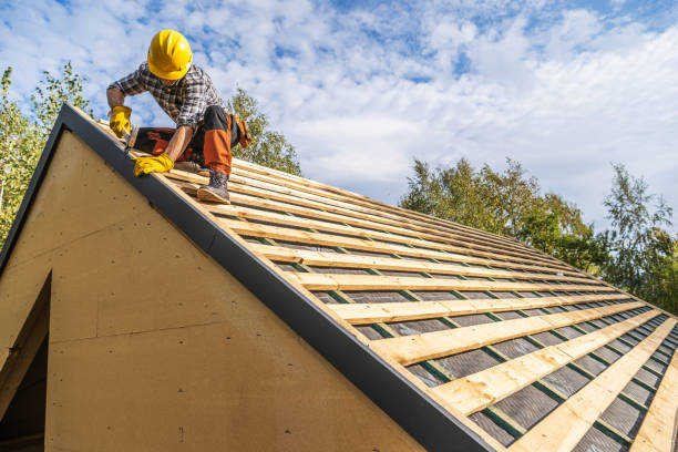 Roof Gutter Cleaning in Dunellen, NJ