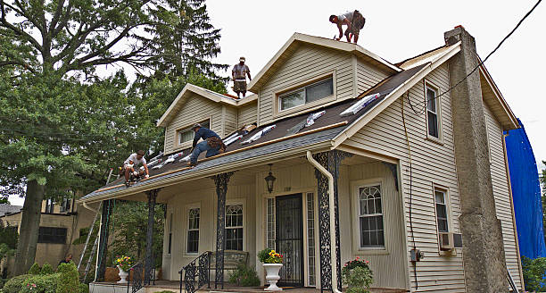 Best Residential Roof Replacement  in Dunellen, NJ